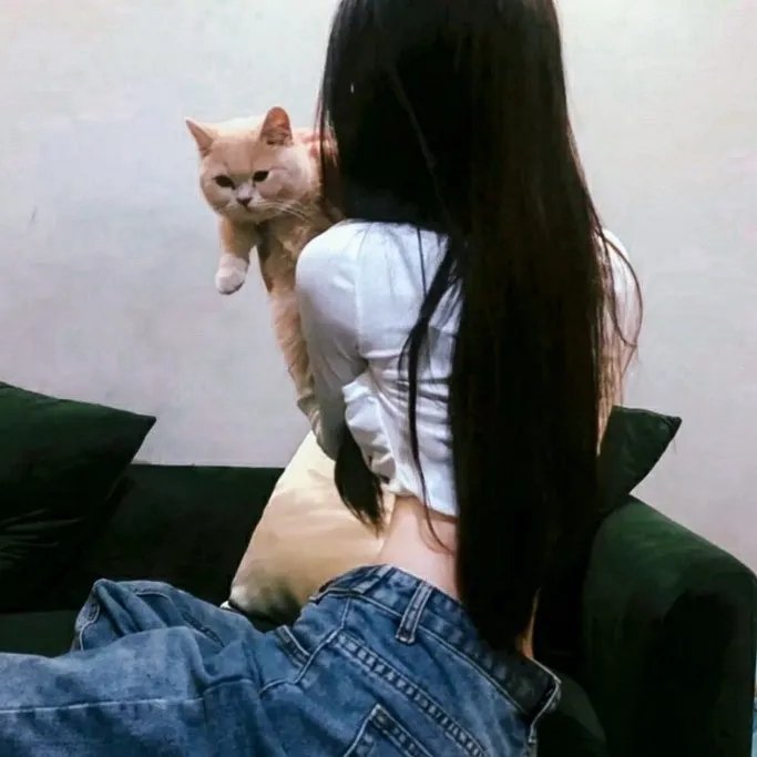 妙警贼探第六季