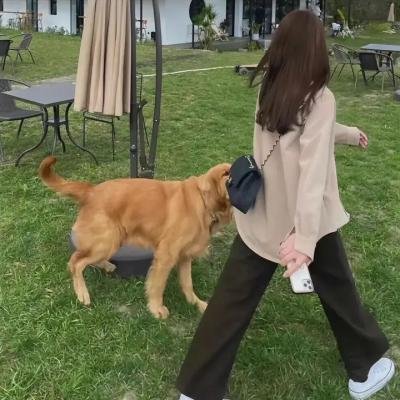 暴徒小镇